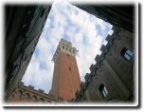 Istituzioni a Siena