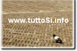 Il nuovo e-commere di tuttoSi.info, tantissimi prodotti ad un prezzo imbattibile